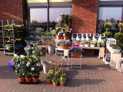 Boeketten en planten uitstalling de Zwaan Bloemen & Decoratie Appingedam