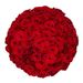 70 red roses - Premium Red Naomi