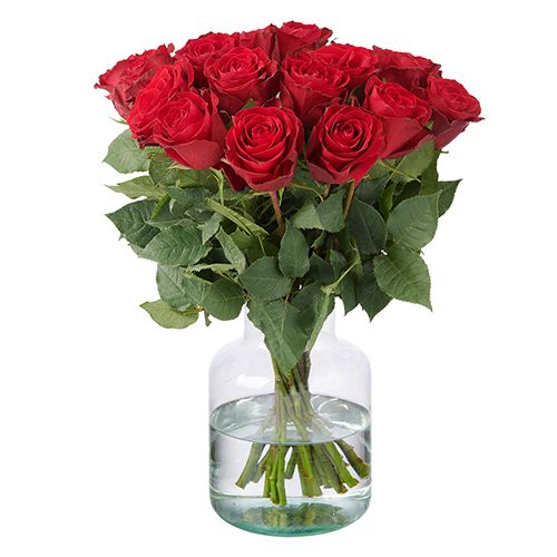 20 rode rozen (40cm)
