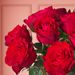 10 Madam Red Rosen mit Vase