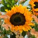 Bouquet du mois de juillet