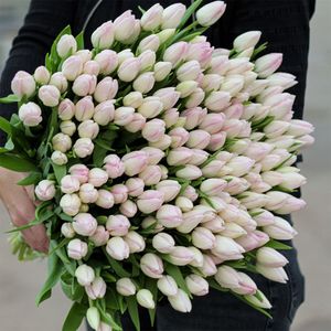 Grote bos roze tulpen XL