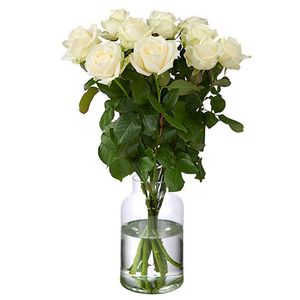 10 White Avalanche Roses Premium