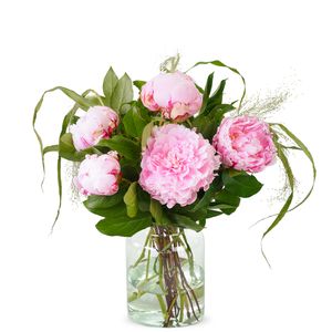 Pivoines roses Gwen