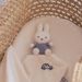 Liebling + Miffy