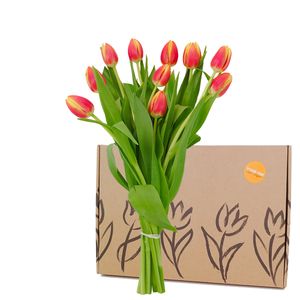 Boîte aux lettres Warm Multicolore Tulipes