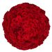 100 Premium Red Roses | Florist