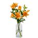 Lilies - Orange Lilies (small)