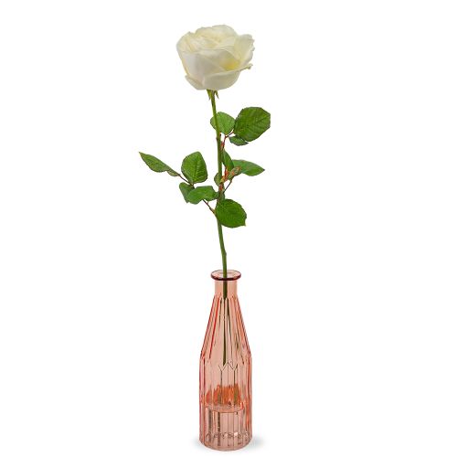 Weißes Rosengeschenk | Inkl. Vase
