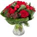 Weihnachtsrosen