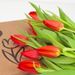 Boîte aux lettres Tulipes rouges