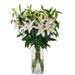 Lilies - White Oriental Lilies (large)