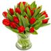 hinreißende rote Tulpen