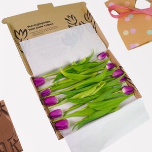 Brievenbus Paarse Tulpen
