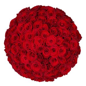 90 Red Roses - Premium Red Naomi