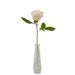 Premium white rose | Incl transparent vase