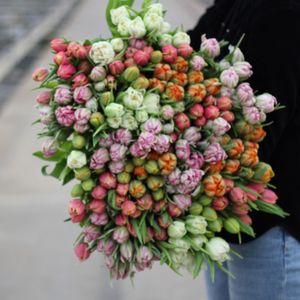 Grote bos gemengde dubbele tulpen XL