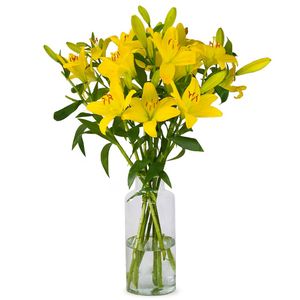 Lilies - Yellow Lilies