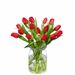 Bouquet of red tulips