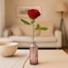 1 premium red rose + vase