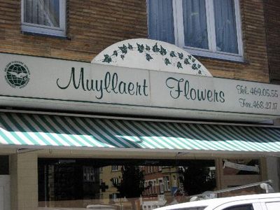 Muyllaert Flowers