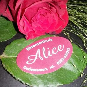 Logo van Bloemenhuis Alice Dedemsvaart