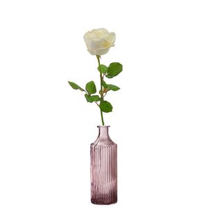 Rose blanche de qualité supérieure + vase