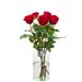 5 rode rozen | Kweker