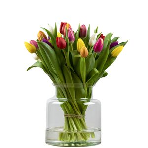 Bos gemengde tulpen