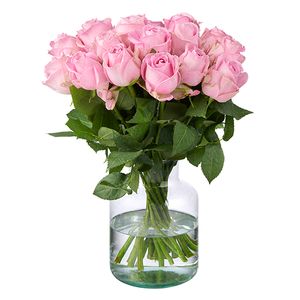 20 roze rozen (40 cm)