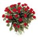 Rode rozen