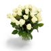 Wunderbare weiße Rosen