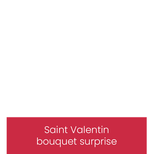 Bouquet surprise Saint Valentin overlay