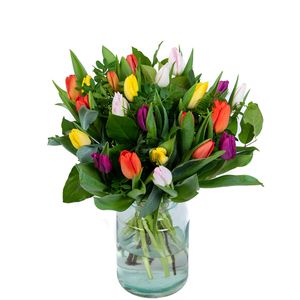 Tulpenboeket Kleurenfeest