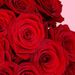 60 Red Roses | Florist