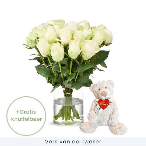 20 white roses + cuddly toy