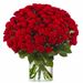 100 Premium red Roses - Red Naomi | Grower