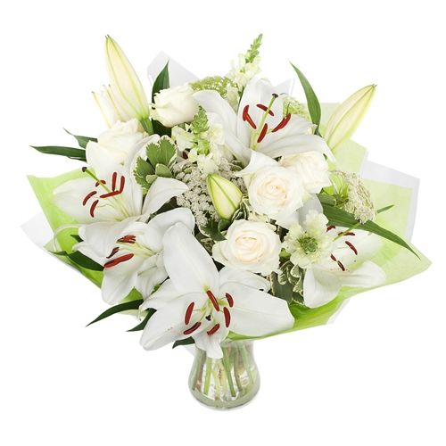 Lilies Traum