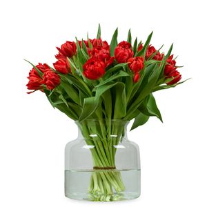 Luxe rode dubbele tulpen