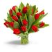 Rode tulpen
