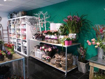 Bloemenhuis Lobelia Hilversum - sfeershot bloemenwinkel