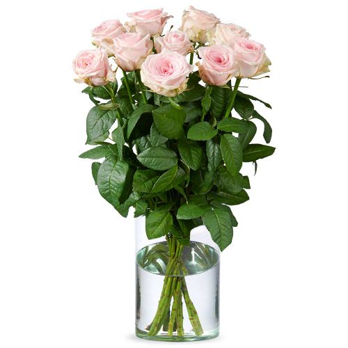 Long pink roses | choose quantity