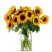 10 Sonnenblumen
