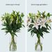 Lilien – Weiße orientalische Lilien