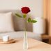 1 premium red rose + vase