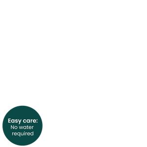 Amaryllis wax ball (red glitter) overlay