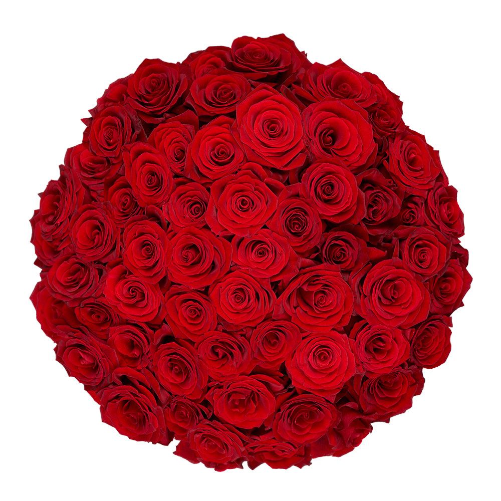  Red Roses- 50 Fresh Flowers- Beautiful Gift : Grocery &  Gourmet Food