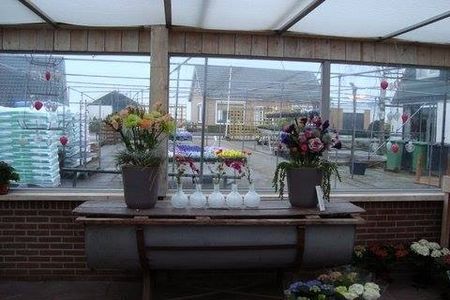 2 potten vol met bloemen - Casa Flores Berkhout