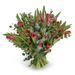 liebevolle Tulpen