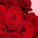 100 roses rouges - Naomi rouge de première qualité